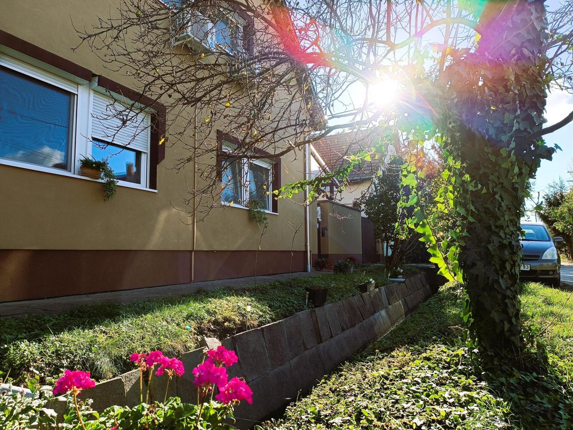 Holt-Tisza Vendeghaz Hotel Szeged Exterior photo