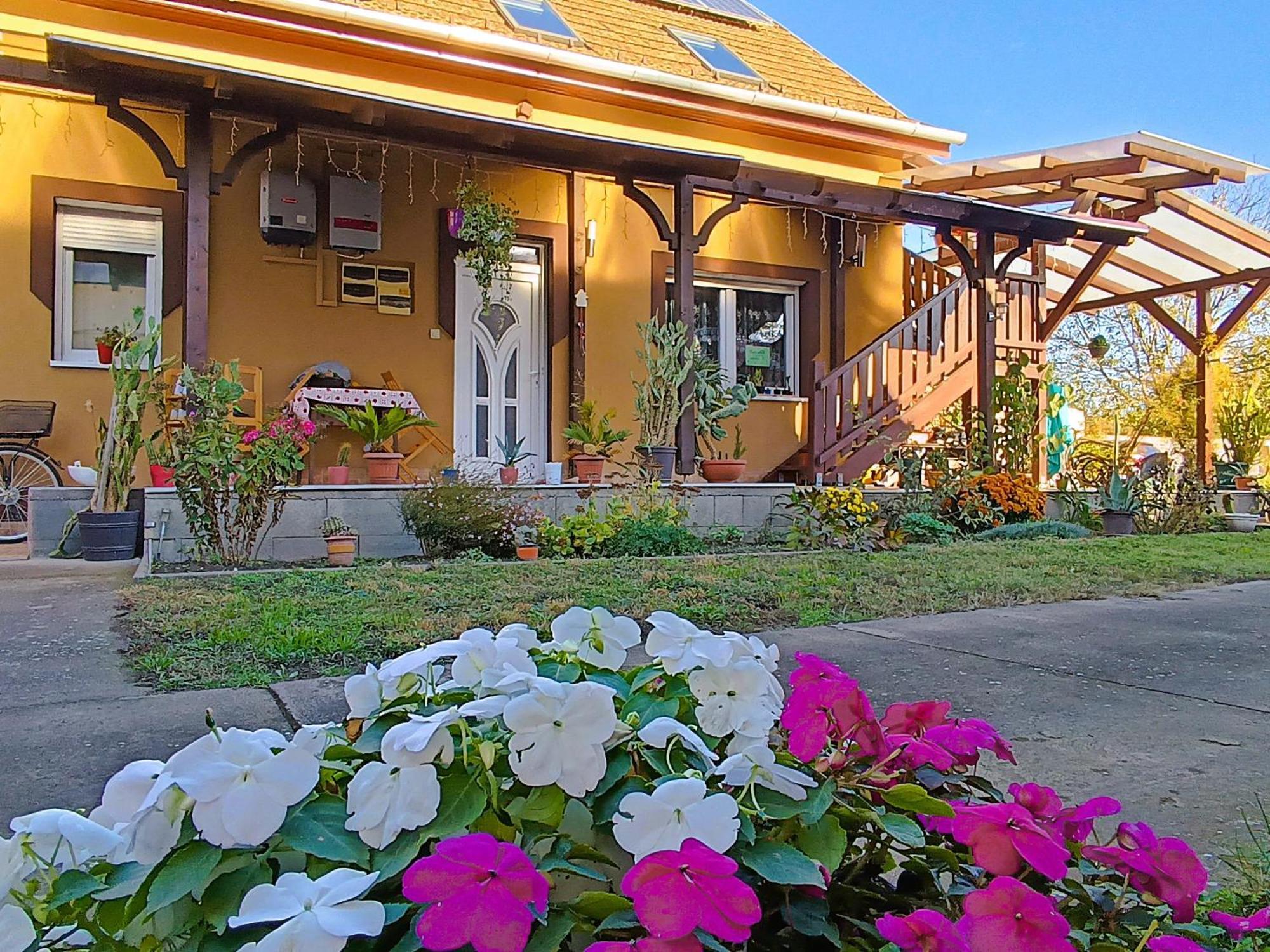 Holt-Tisza Vendeghaz Hotel Szeged Exterior photo