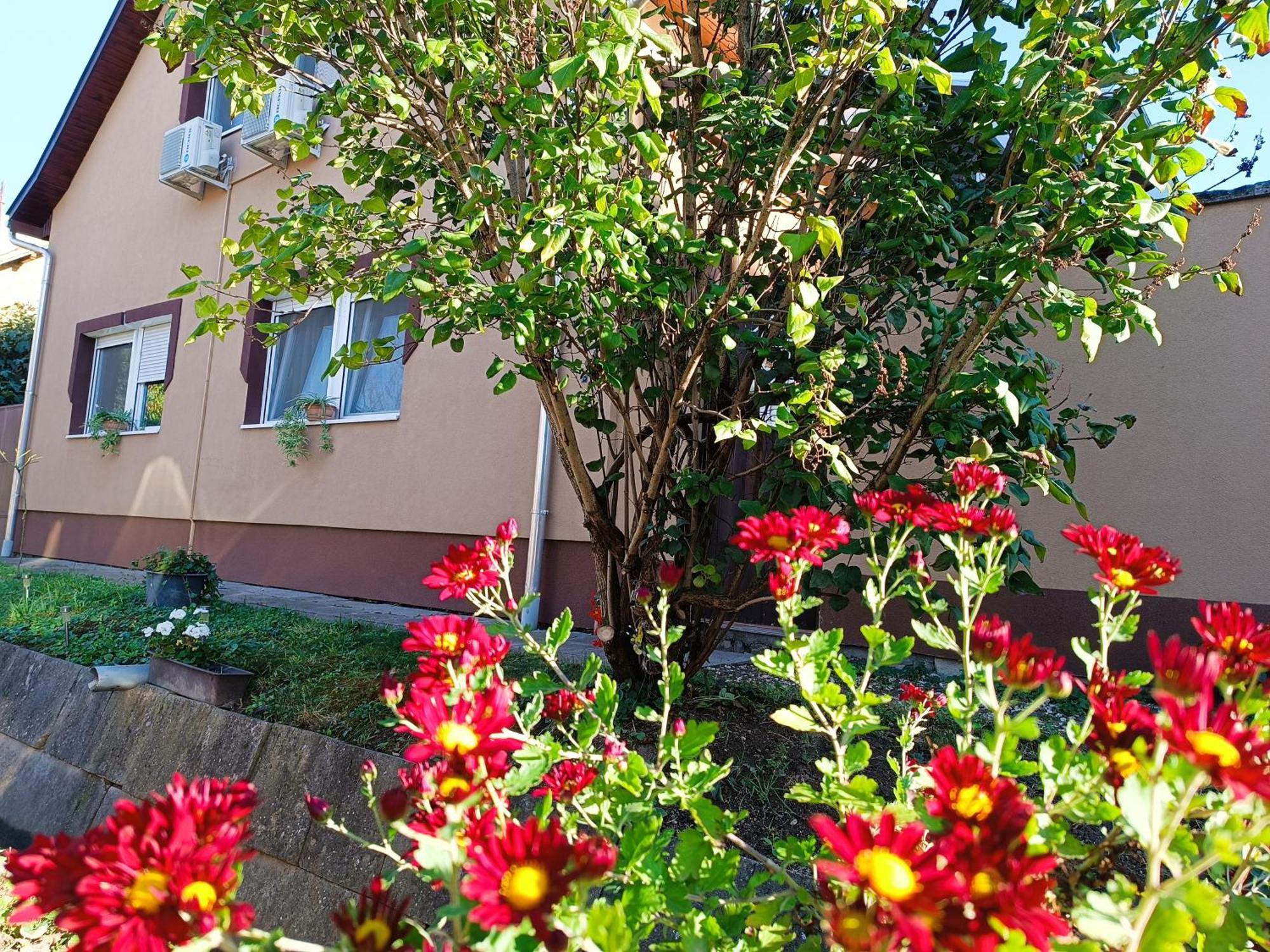 Holt-Tisza Vendeghaz Hotel Szeged Exterior photo